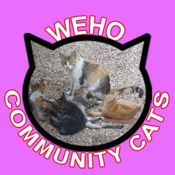Original Channel Logo