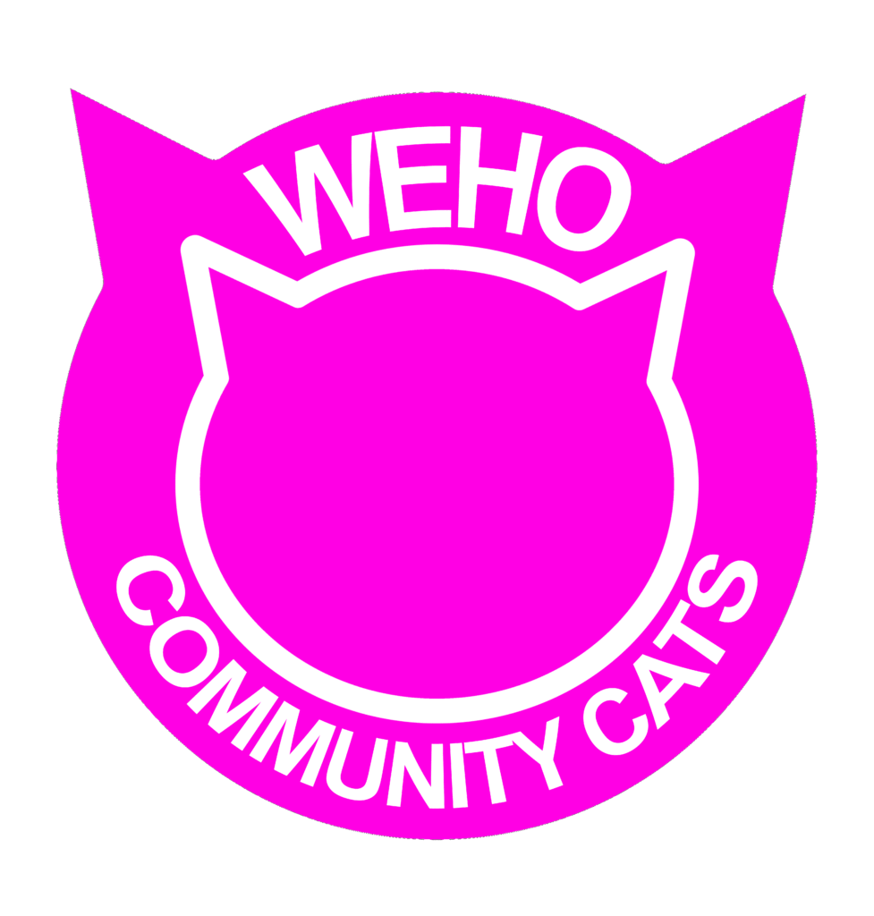 WEHO CC White Letters On Pink Back copy